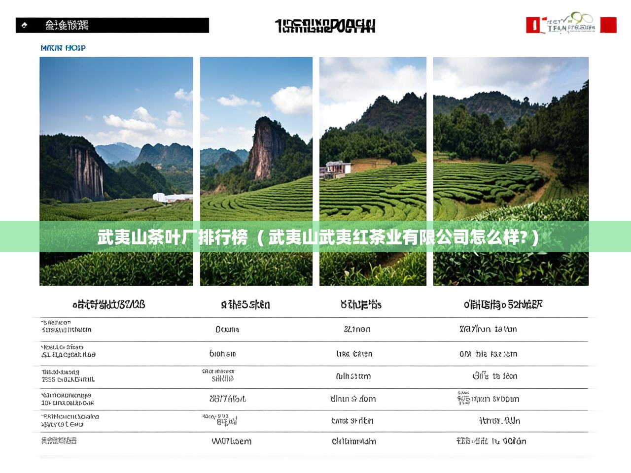  武夷山茶叶厂排行榜  ( 武夷山武夷红茶业有限公司怎么样? )
