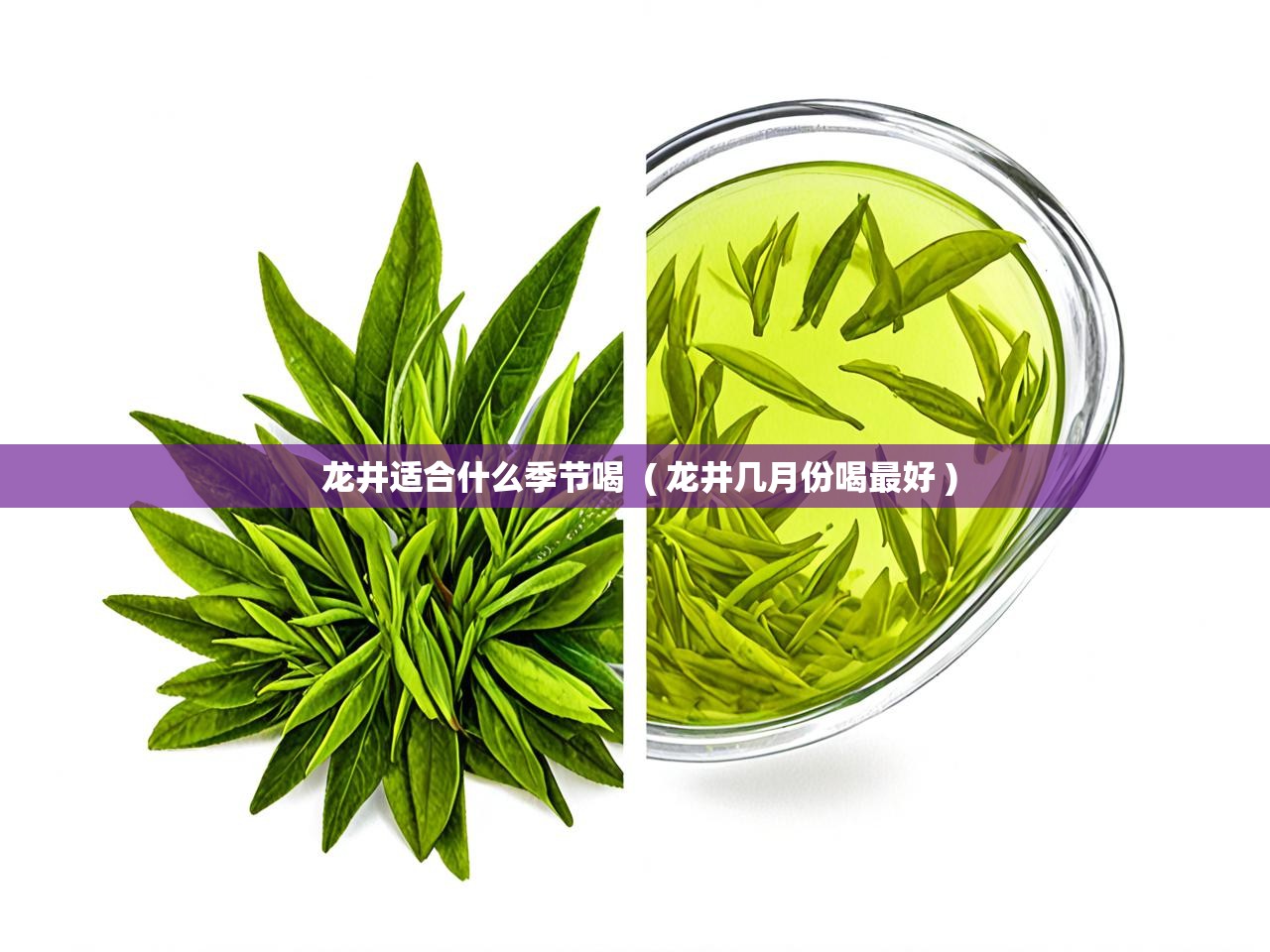  龙井适合什么季节喝  ( 龙井几月份喝最好 )
