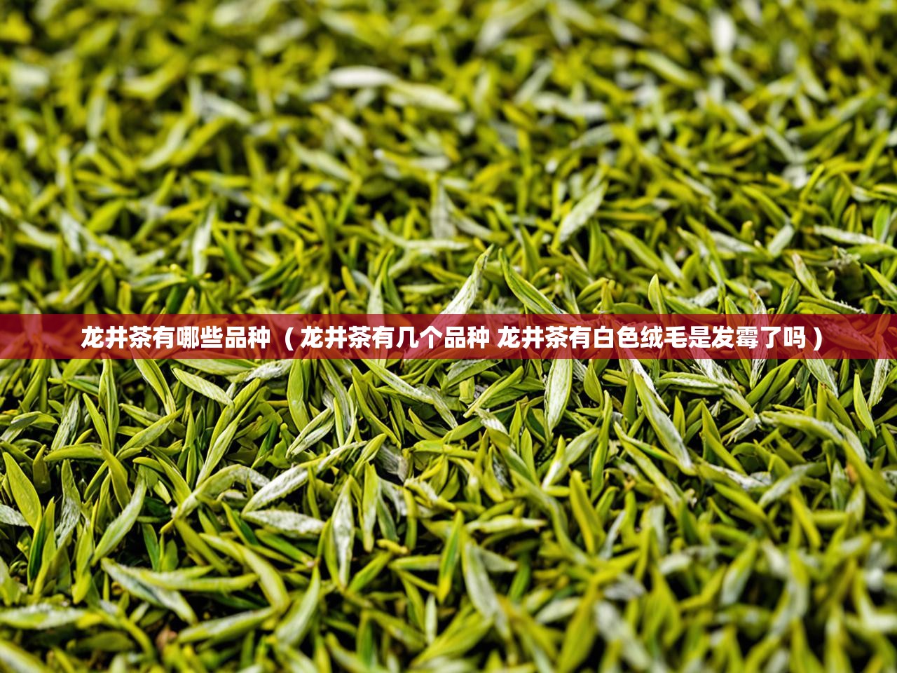  龙井茶有哪些品种  ( 龙井茶有几个品种 龙井茶有白色绒毛是发霉了吗 )