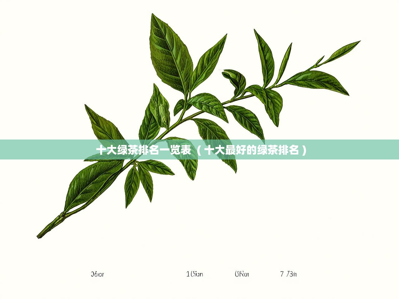  十大绿茶排名一览表  ( 十大最好的绿茶排名 )