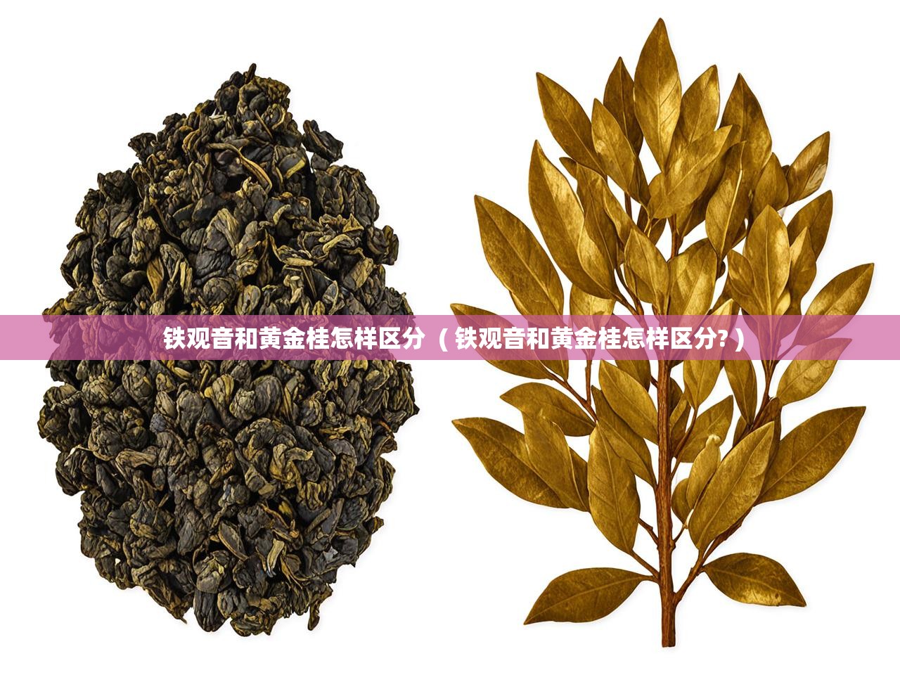  铁观音和黄金桂怎样区分  ( 铁观音和黄金桂怎样区分? )