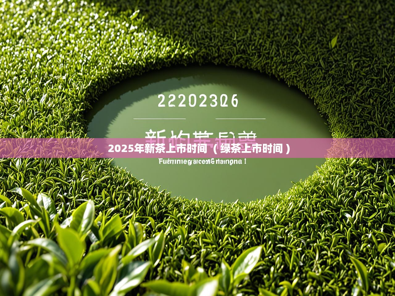 2025年新茶上市时间  ( 绿茶上市时间 )