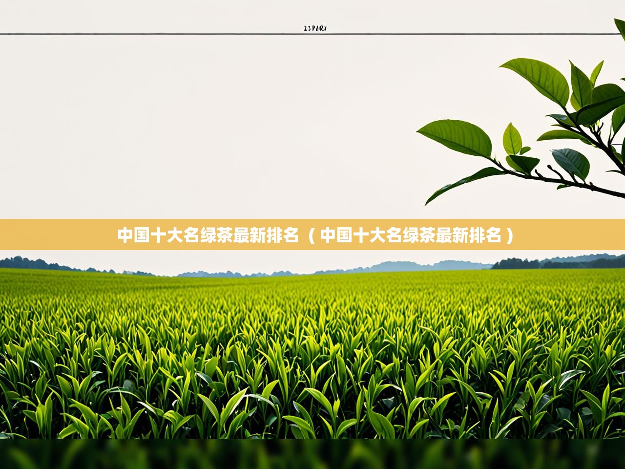  中国十大名绿茶最新排名  ( 中国十大名绿茶最新排名 )