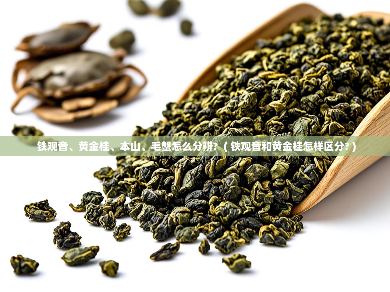  铁观音、黄金桂、本山、毛蟹怎么分辨?  ( 铁观音和黄金桂怎样区分? )