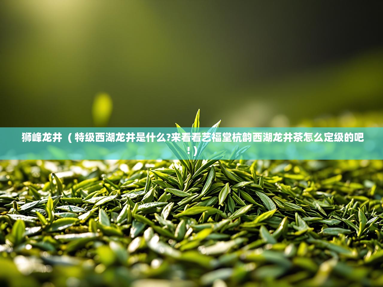  狮峰龙井  ( 特级西湖龙井是什么?来看看艺福堂杭韵西湖龙井茶怎么定级的吧! )