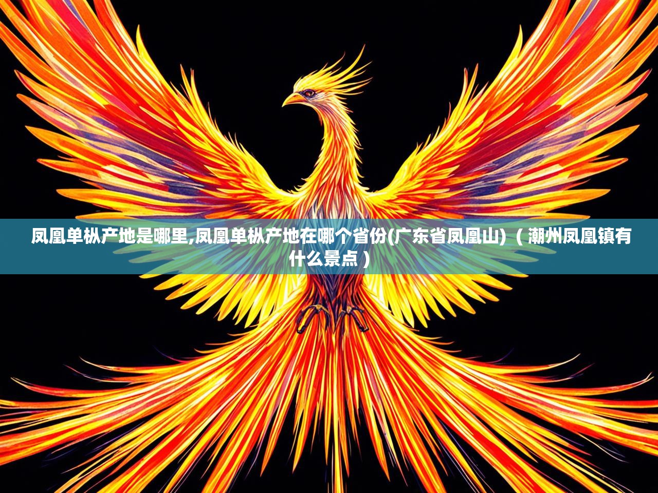  凤凰单枞产地是哪里,凤凰单枞产地在哪个省份(广东省凤凰山)  ( 潮州凤凰镇有什么景点 )
