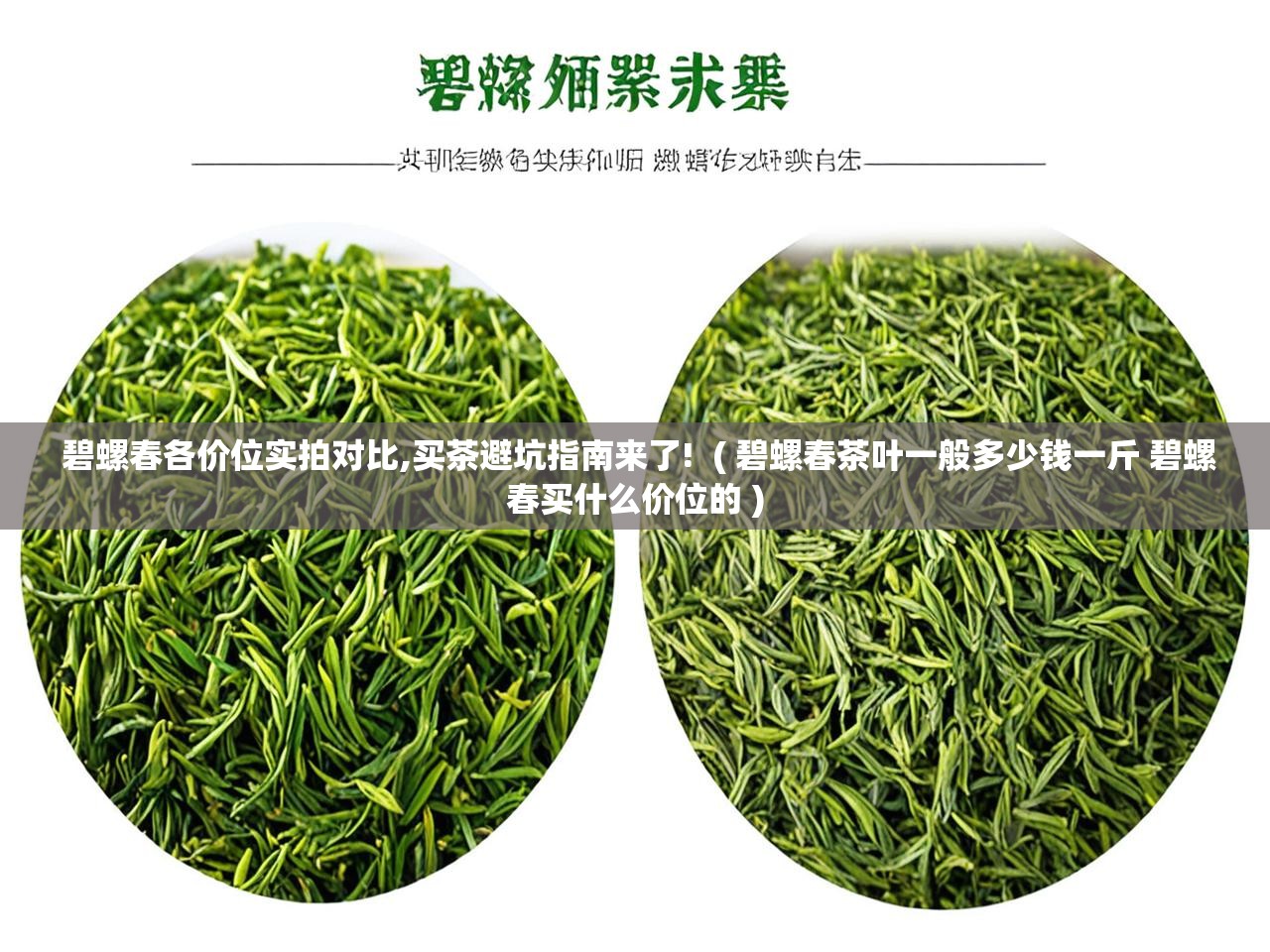  碧螺春各价位实拍对比,买茶避坑指南来了!  ( 碧螺春茶叶一般多少钱一斤 碧螺春买什么价位的 )