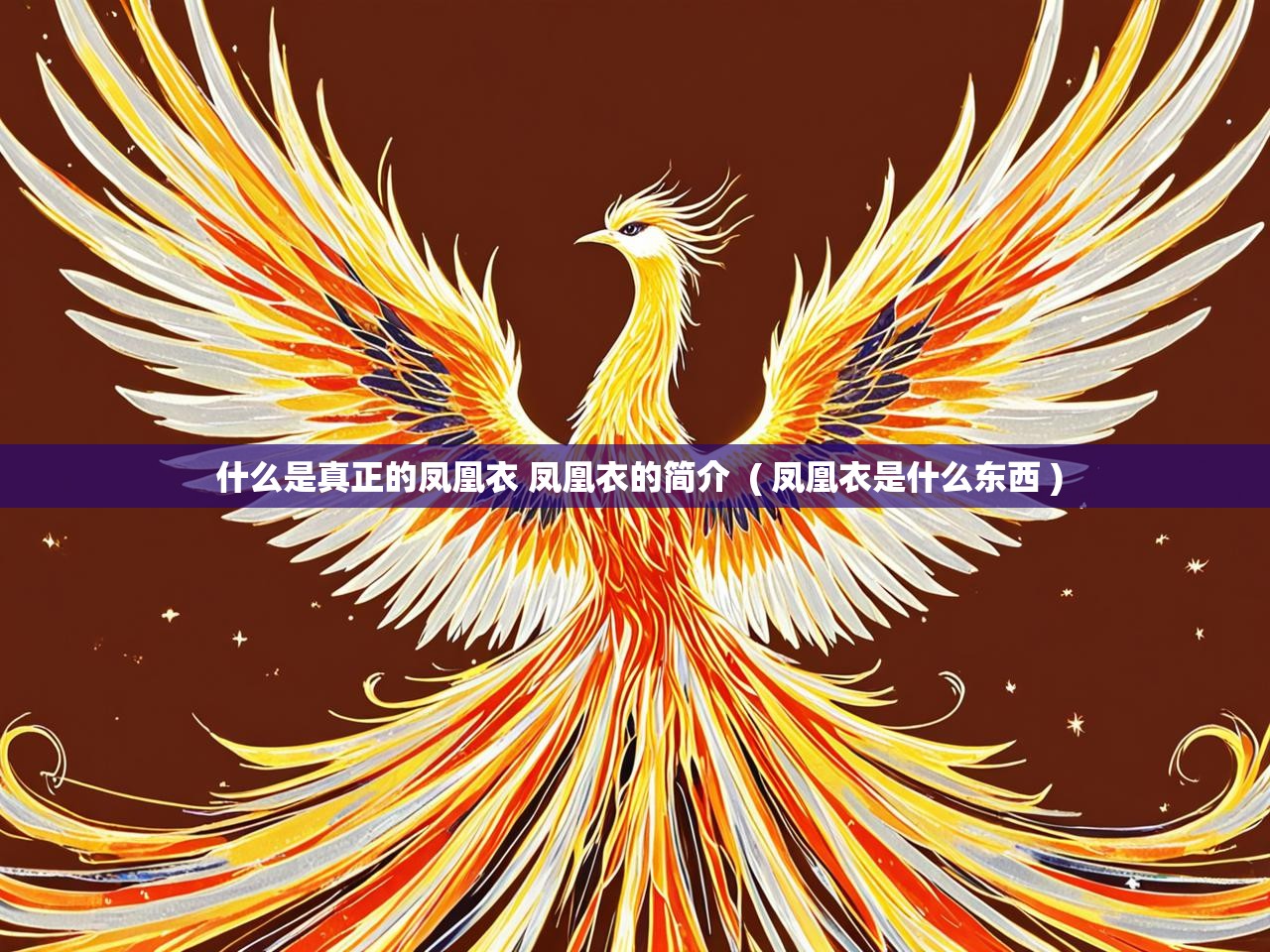  什么是真正的凤凰衣 凤凰衣的简介  ( 凤凰衣是什么东西 )