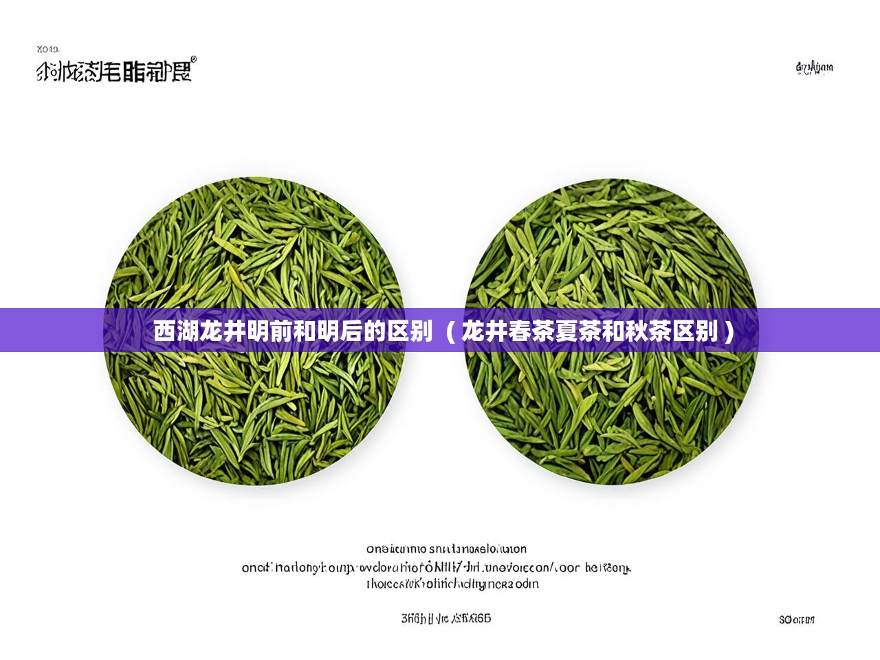  西湖龙井明前和明后的区别  ( 龙井春茶夏茶和秋茶区别 )