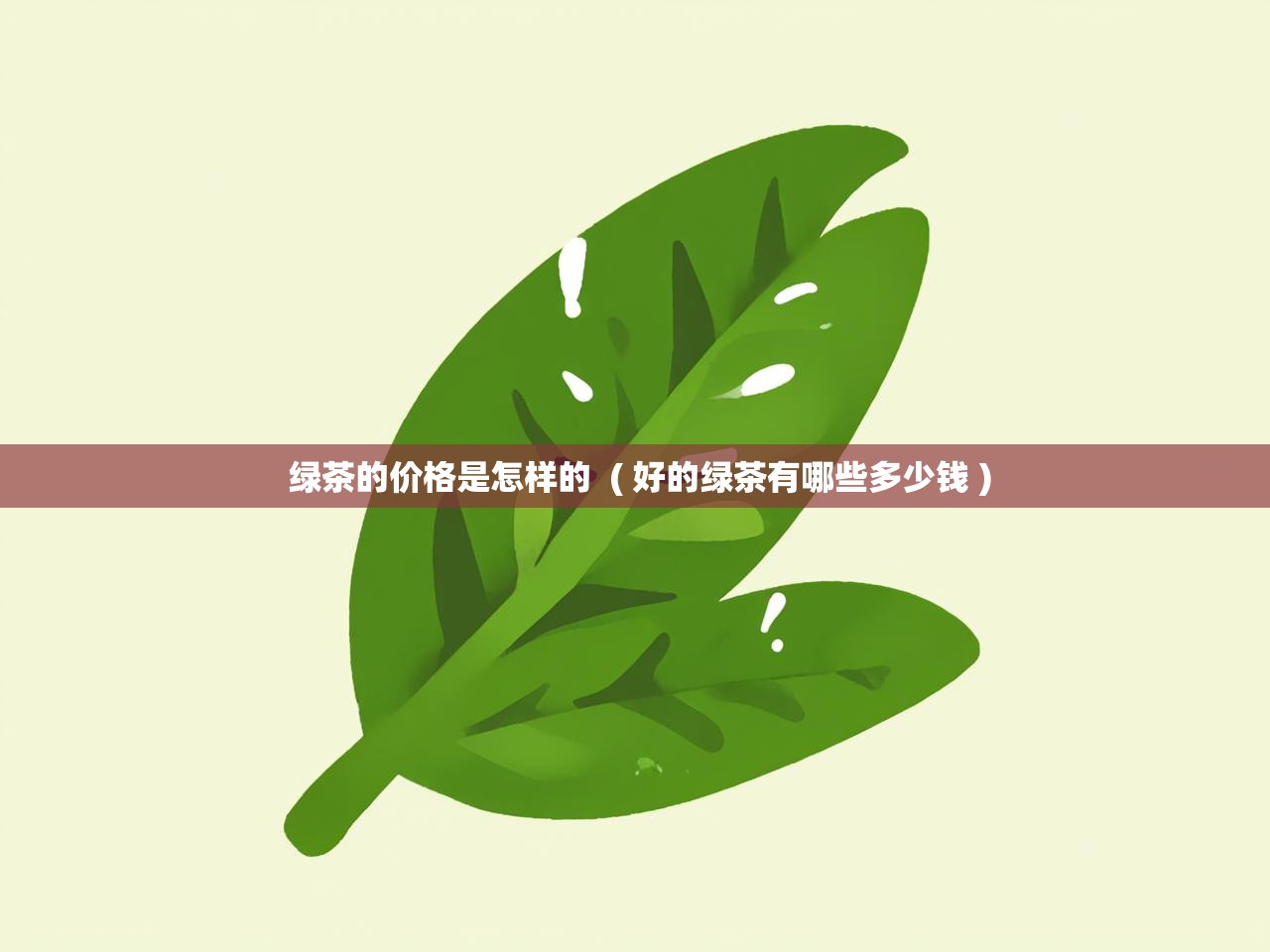  绿茶的价格是怎样的  ( 好的绿茶有哪些多少钱 )