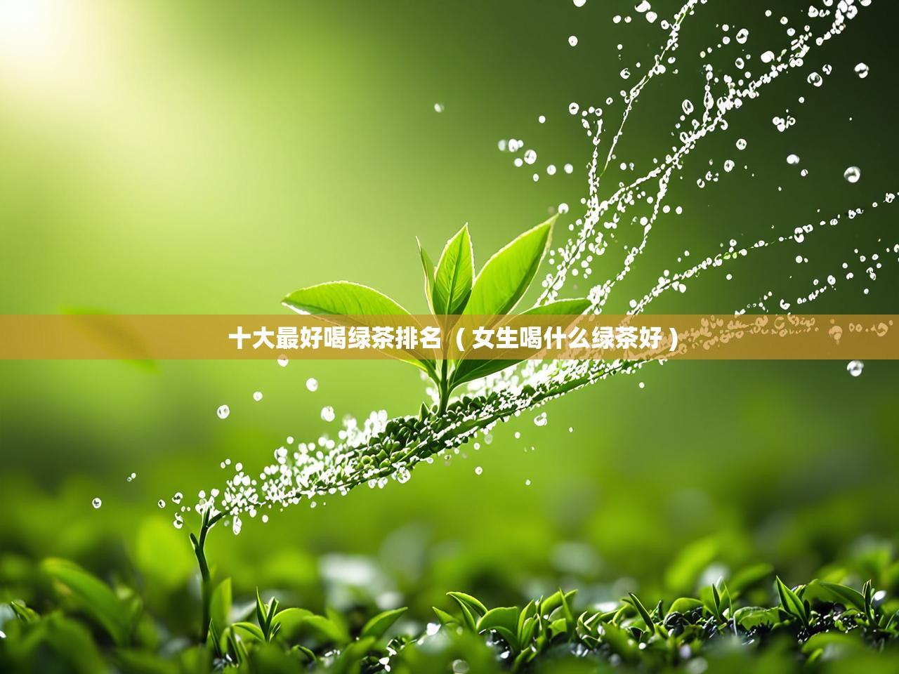  十大最好喝绿茶排名  ( 女生喝什么绿茶好 )