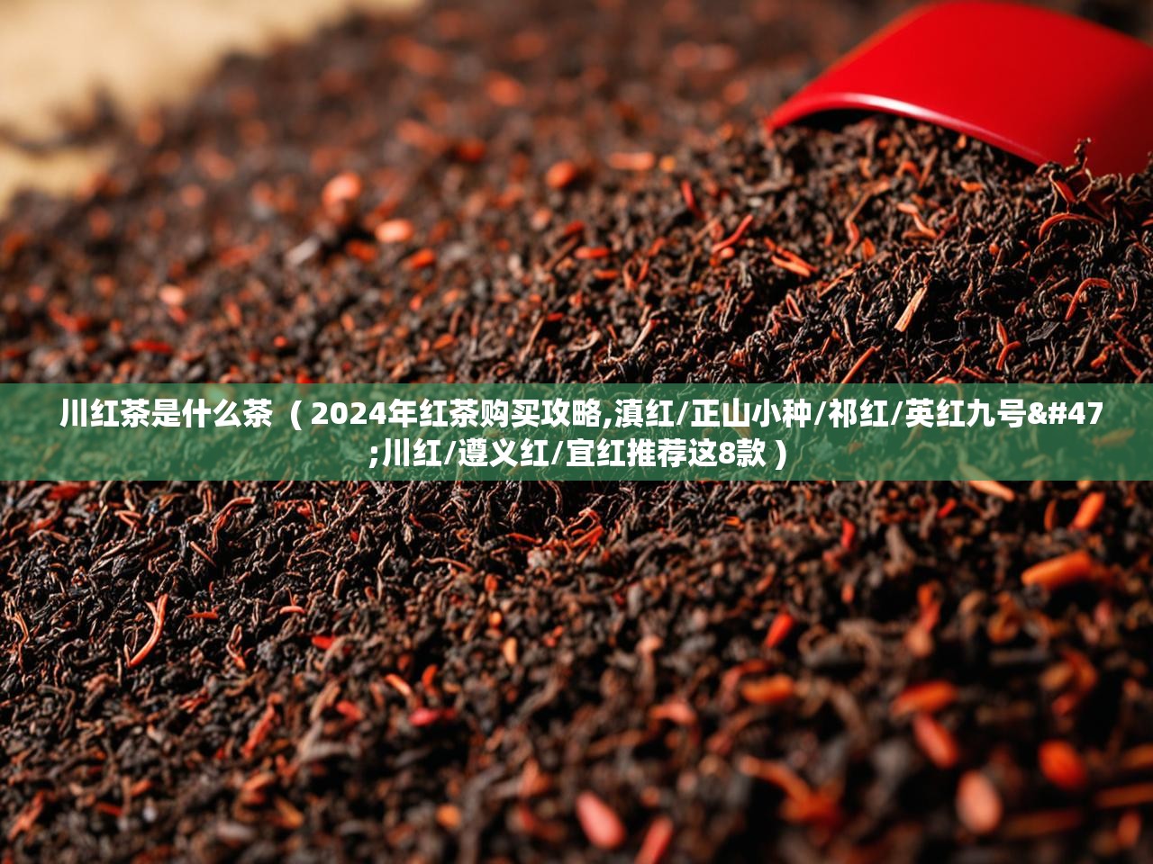  川红茶是什么茶  ( 2024年红茶购买攻略,滇红/正山小种/祁红/英红九号/川红/遵义红/宜红推荐这8款 )