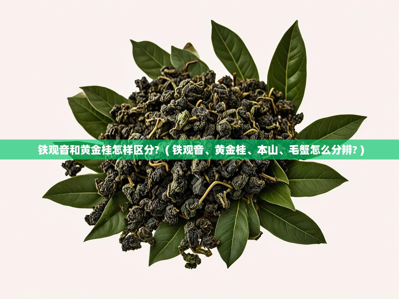 铁观音和黄金桂怎样区分?  ( 铁观音、黄金桂、本山、毛蟹怎么分辨? )