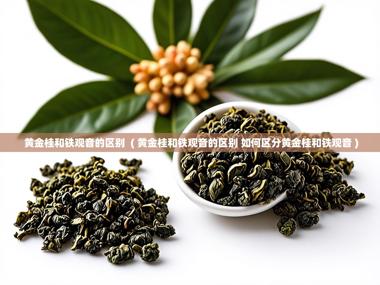  黄金桂和铁观音的区别  ( 黄金桂和铁观音的区别 如何区分黄金桂和铁观音 )