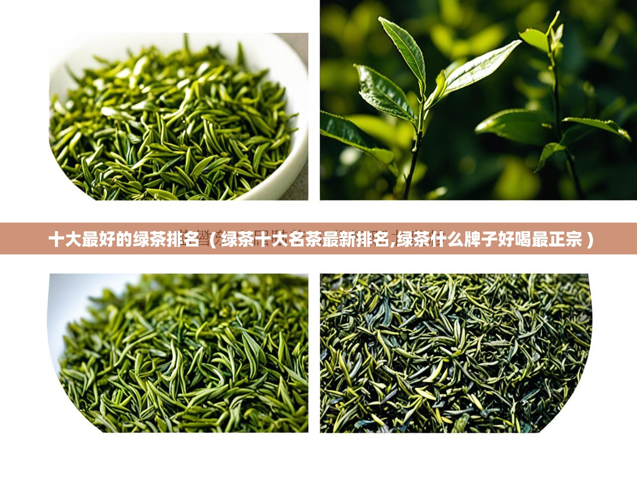  十大最好的绿茶排名  ( 绿茶十大名茶最新排名,绿茶什么牌子好喝最正宗 )