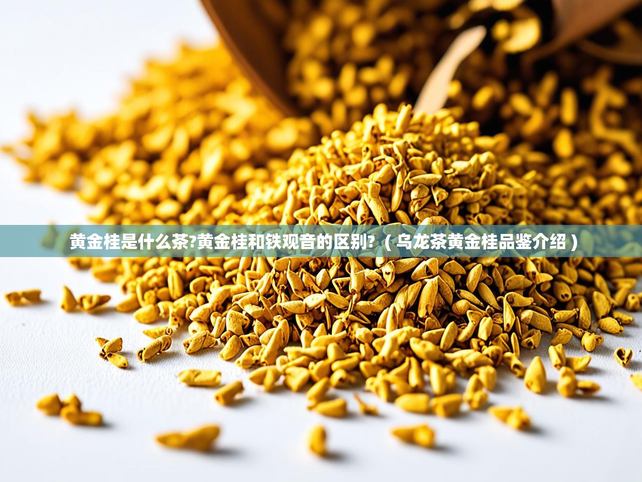  黄金桂是什么茶?黄金桂和铁观音的区别?  ( 乌龙茶黄金桂品鉴介绍 )