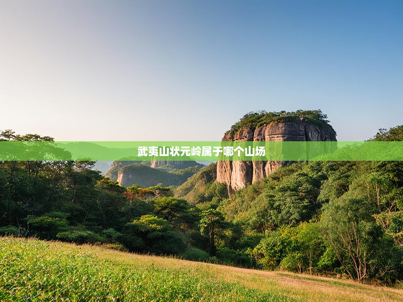  武夷山状元岭属于哪个山场 