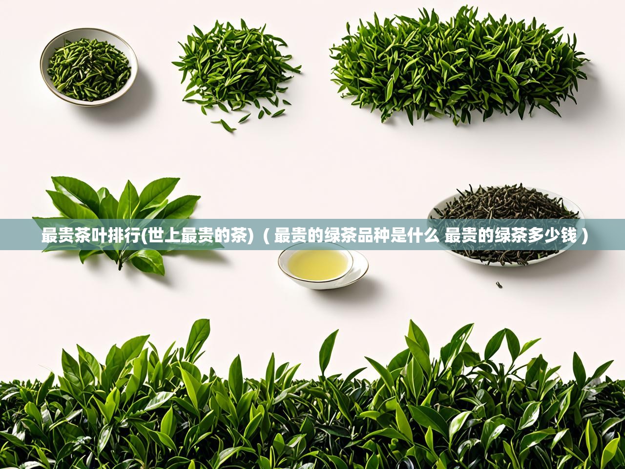  最贵茶叶排行(世上最贵的茶)  ( 最贵的绿茶品种是什么 最贵的绿茶多少钱 )