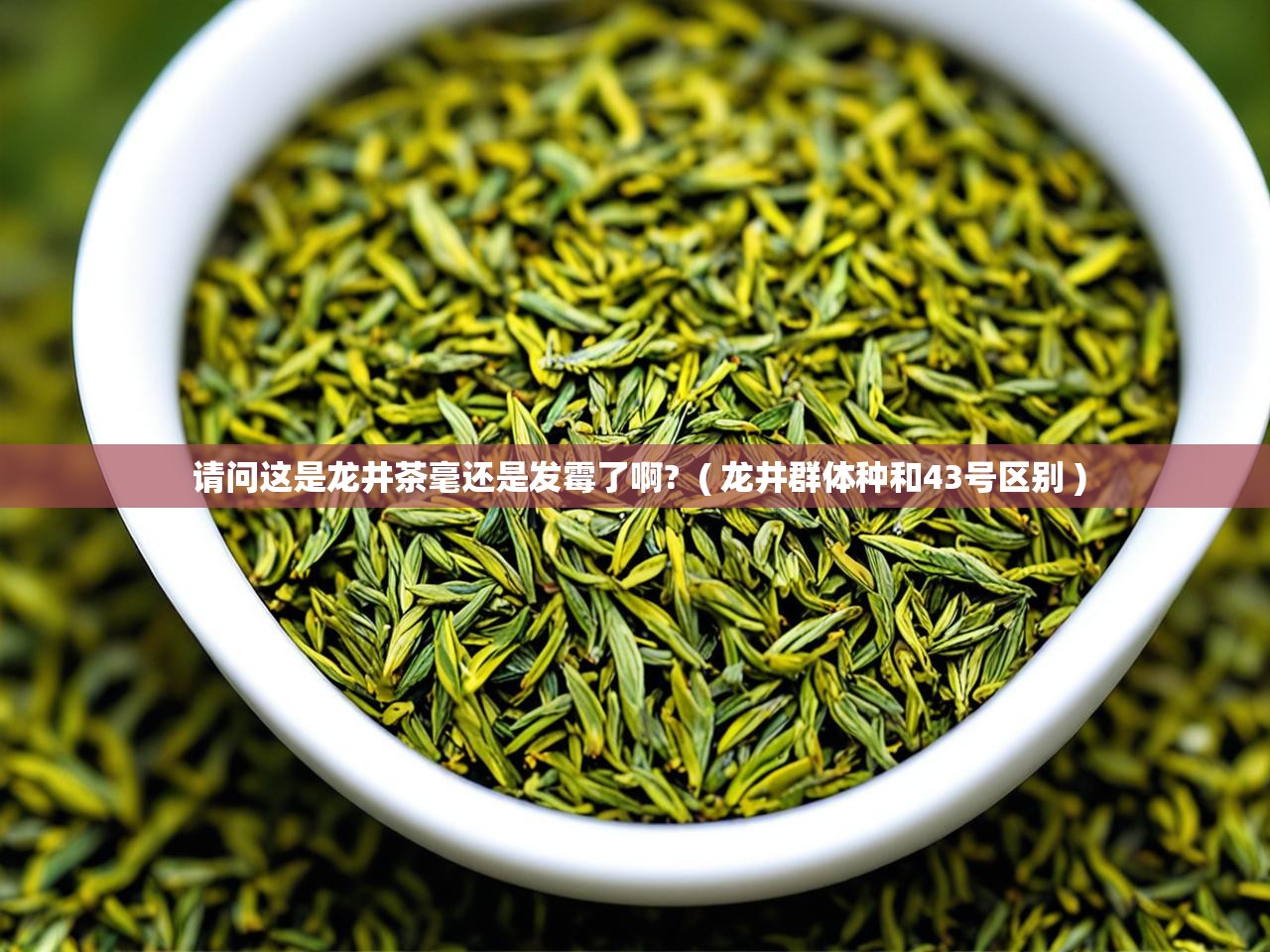 详细阅读: 请问这是龙井茶毫还是发霉了啊?  ( 龙井群体种和43号区别 )  请问这是龙井茶毫还是发霉了啊?  ( 龙井群体种和43号区别 )