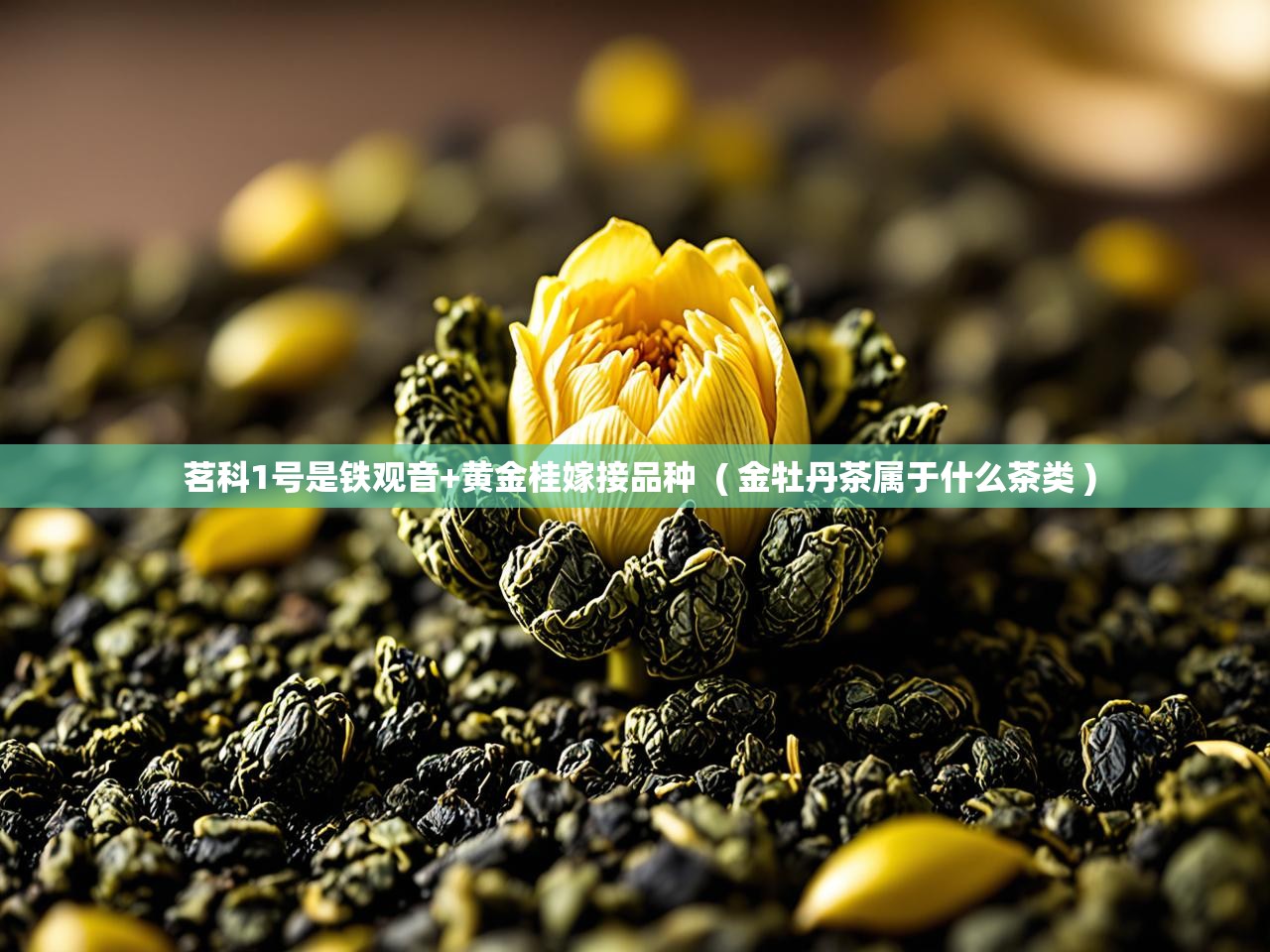 详细阅读: 茗科1号是铁观音+黄金桂嫁接品种  ( 金牡丹茶属于什么茶类 )  茗科1号是铁观音+黄金桂嫁接品种  ( 金牡丹茶属于什么茶类 )