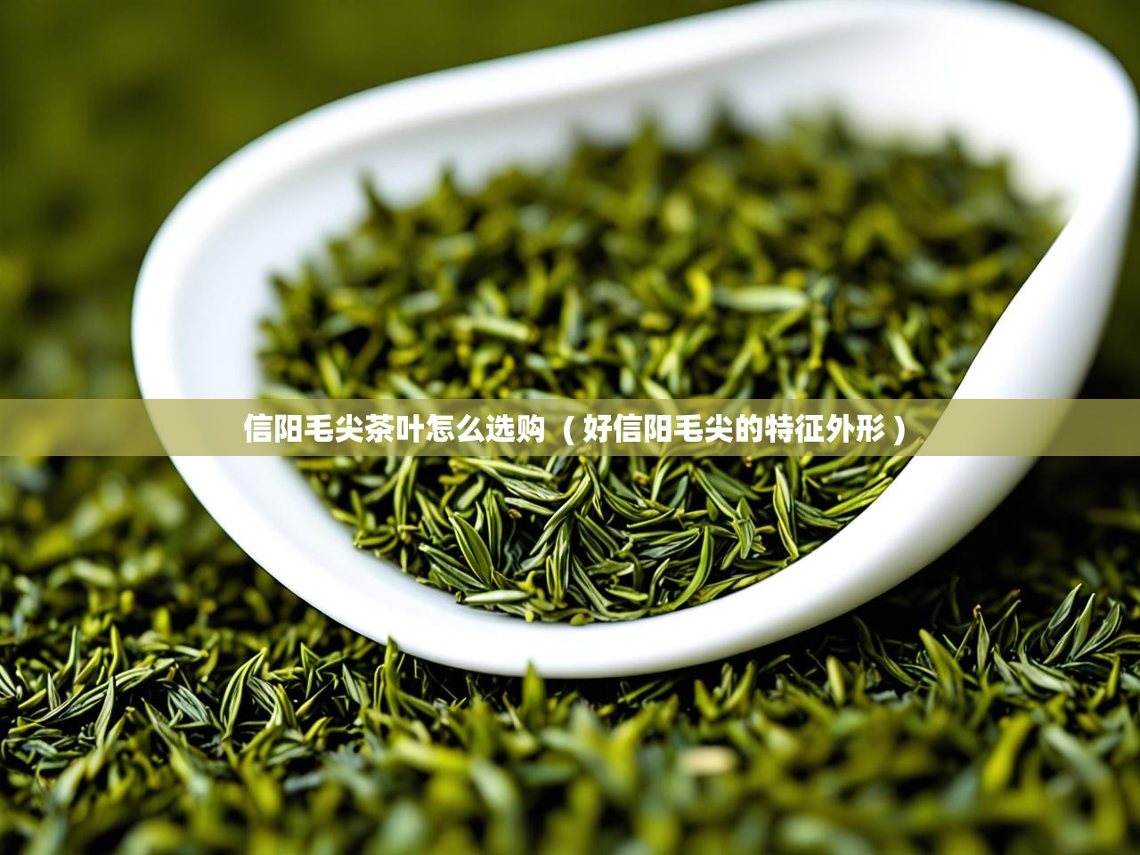  信阳毛尖茶叶怎么选购  ( 好信阳毛尖的特征外形 )