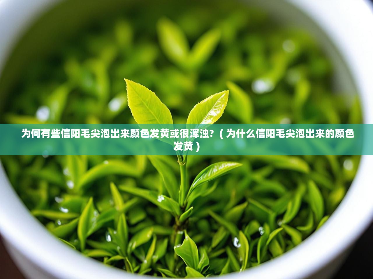  为何有些信阳毛尖泡出来颜色发黄或很浑浊?  ( 为什么信阳毛尖泡出来的颜色发黄 )
