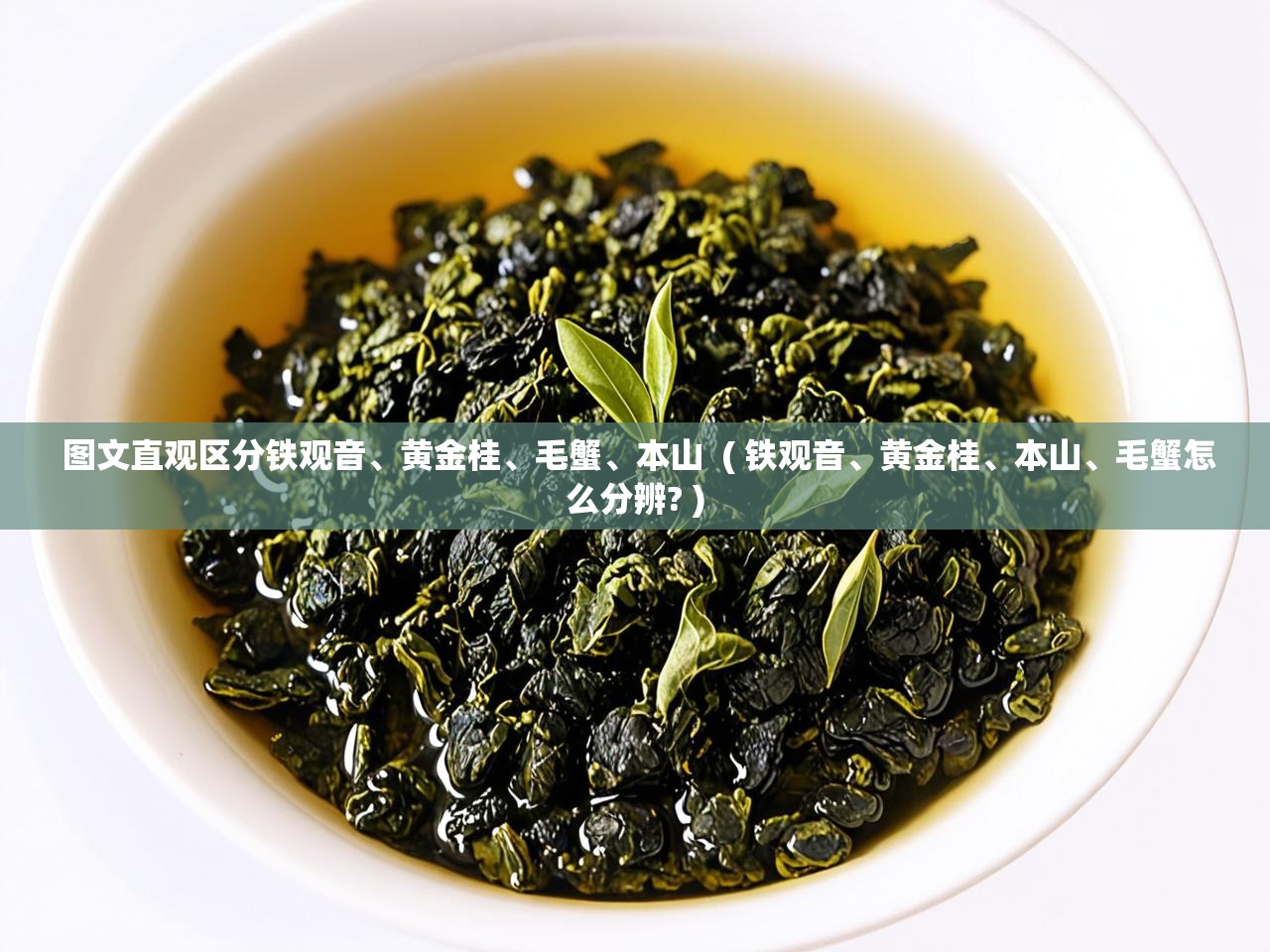  图文直观区分铁观音、黄金桂、毛蟹、本山  ( 铁观音、黄金桂、本山、毛蟹怎么分辨? )