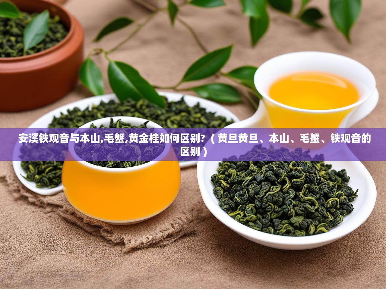  安溪铁观音与本山,毛蟹,黄金桂如何区别?  ( 黄旦黄旦、本山、毛蟹、铁观音的区别 )