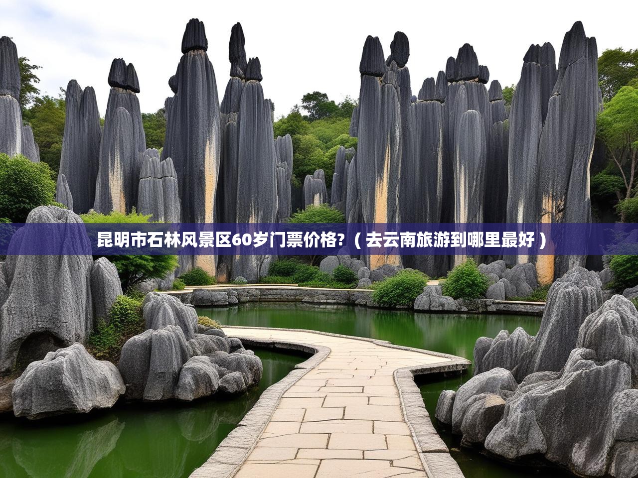  昆明市石林风景区60岁门票价格?  ( 去云南旅游到哪里最好 )