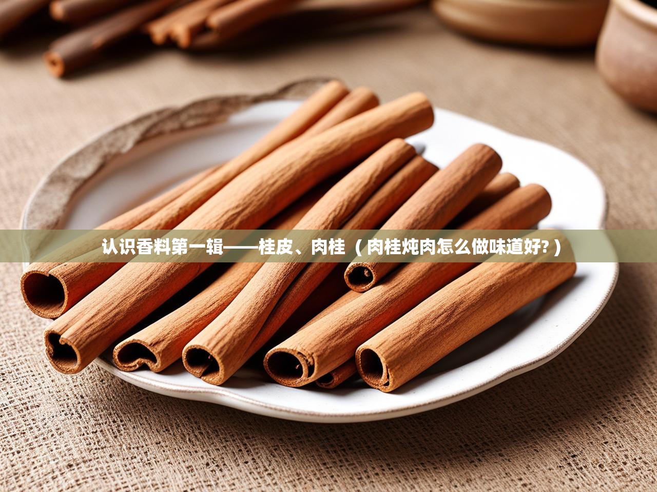  认识香料第一辑——桂皮、肉桂  ( 肉桂炖肉怎么做味道好? )
