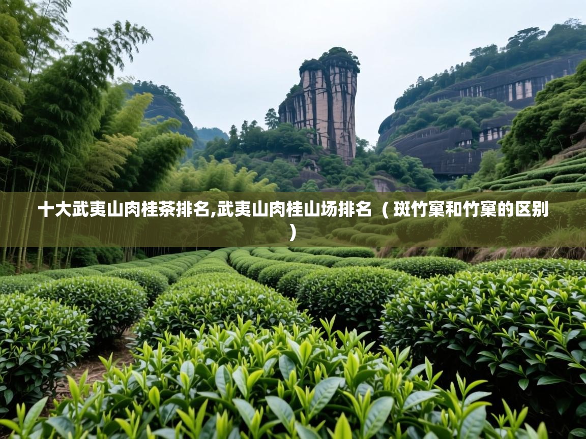  十大武夷山肉桂茶排名,武夷山肉桂山场排名  ( 斑竹窠和竹窠的区别 )
