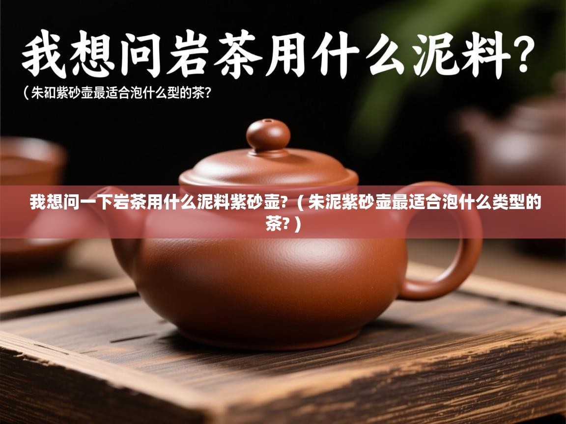  我想问一下岩茶用什么泥料紫砂壶?  ( 朱泥紫砂壶最适合泡什么类型的茶? )