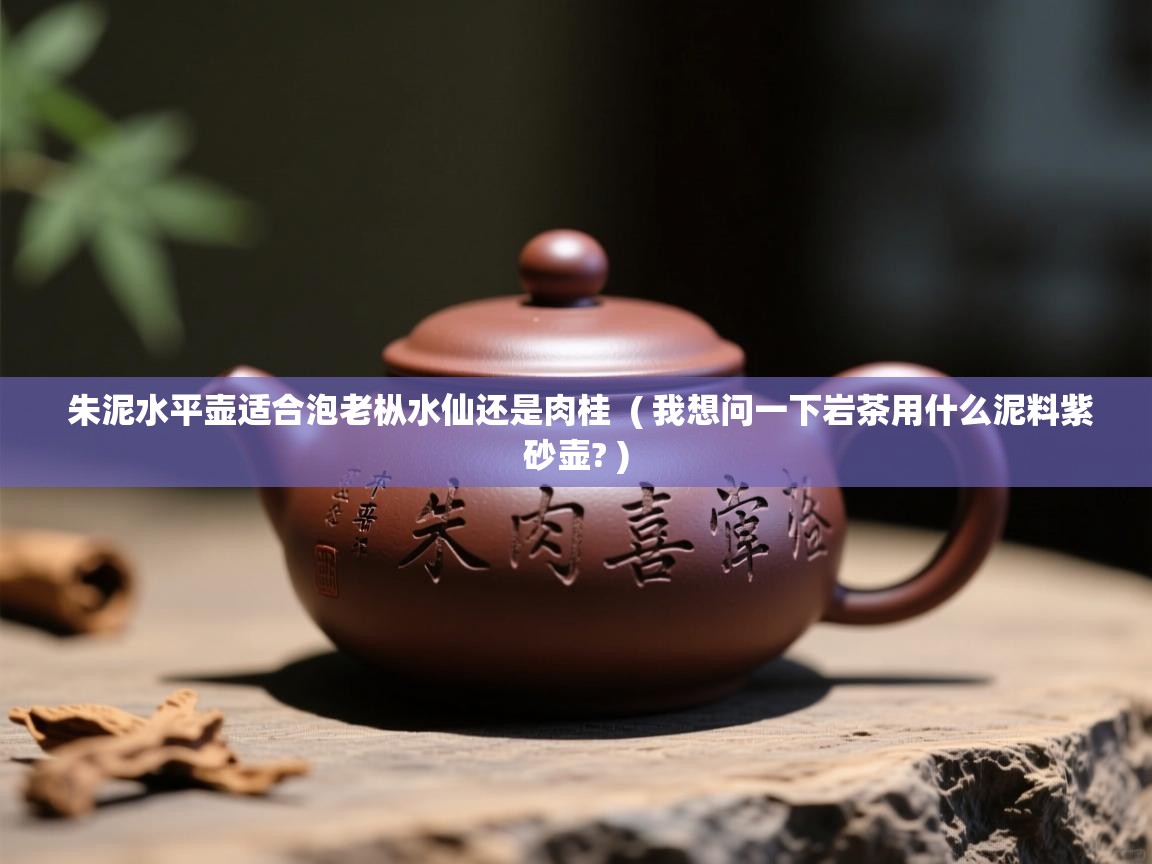  朱泥水平壶适合泡老枞水仙还是肉桂  ( 我想问一下岩茶用什么泥料紫砂壶? )