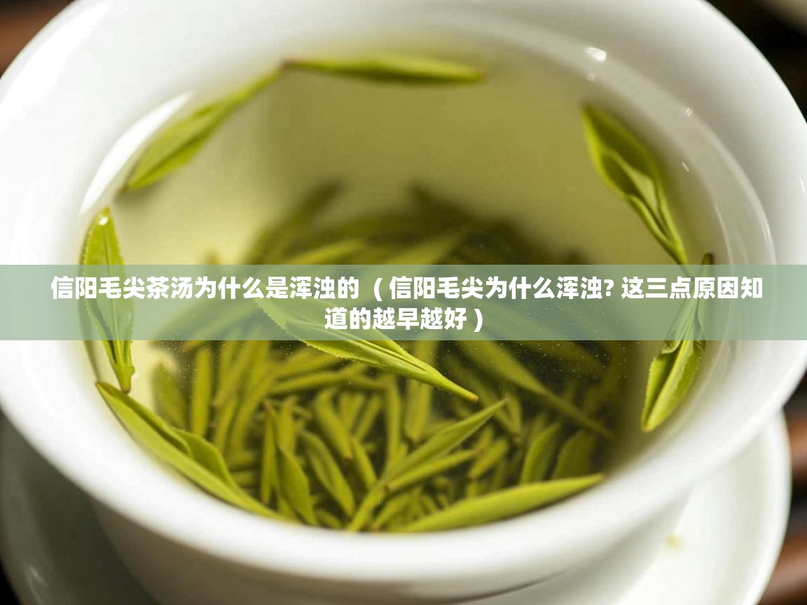  信阳毛尖茶汤为什么是浑浊的  ( 信阳毛尖为什么浑浊? 这三点原因知道的越早越好 )