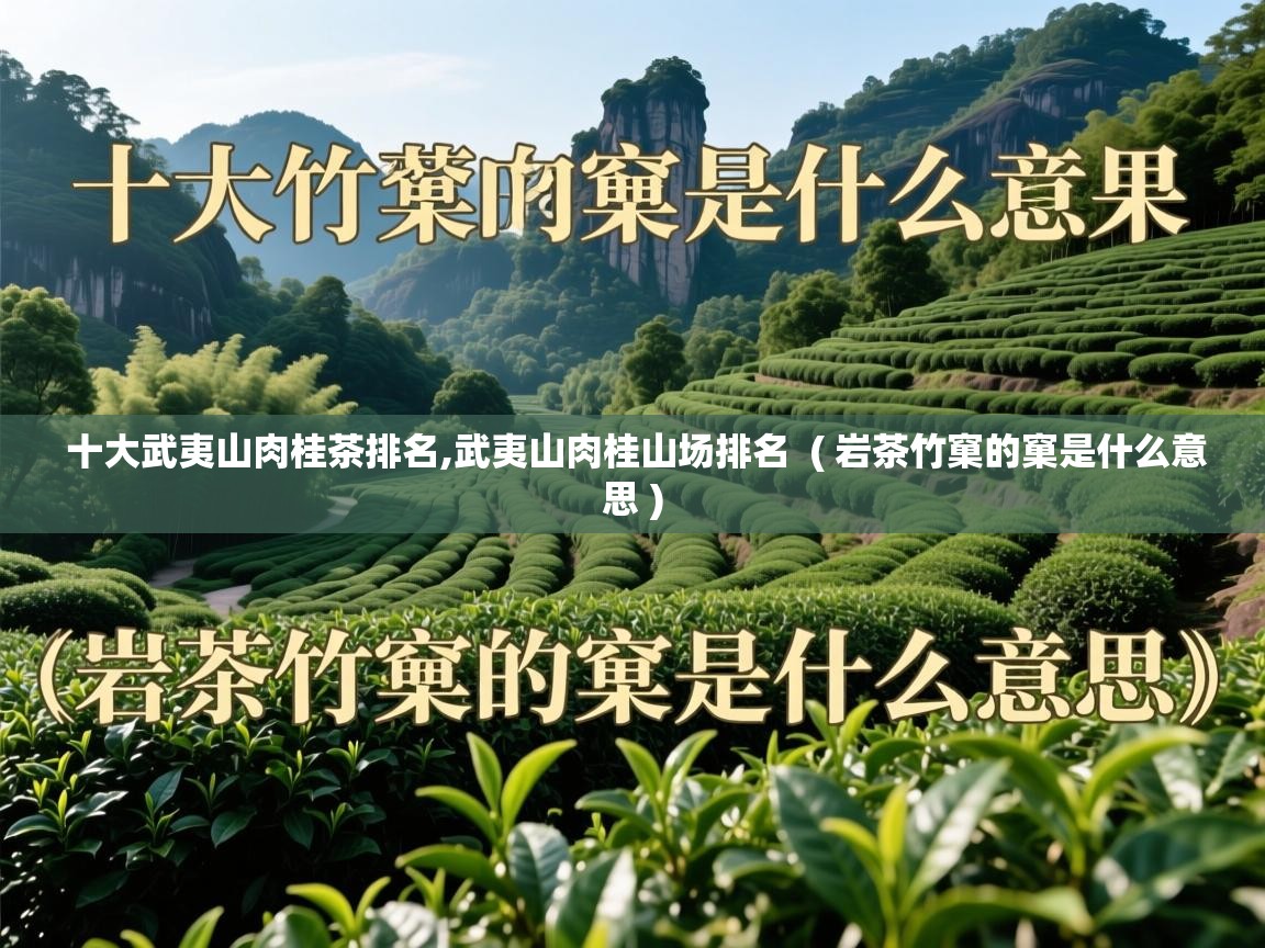  十大武夷山肉桂茶排名,武夷山肉桂山场排名  ( 岩茶竹窠的窠是什么意思 )