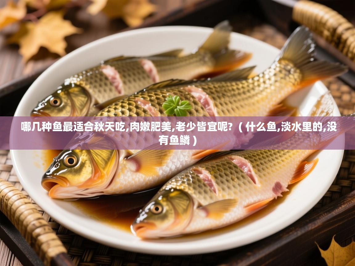  哪几种鱼最适合秋天吃,肉嫩肥美,老少皆宜呢?  ( 什么鱼,淡水里的,没有鱼鳞 )