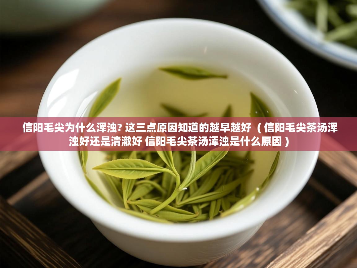  信阳毛尖为什么浑浊? 这三点原因知道的越早越好  ( 信阳毛尖茶汤浑浊好还是清澈好 信阳毛尖茶汤浑浊是什么原因 )