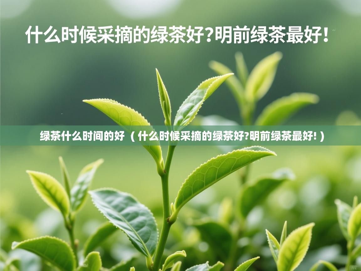  绿茶什么时间的好  ( 什么时候采摘的绿茶好?明前绿茶最好! )