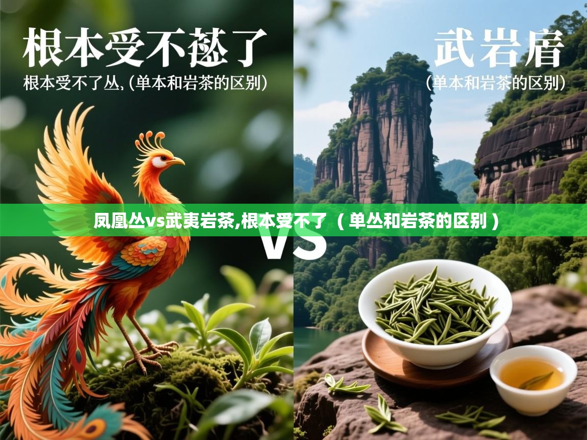  凤凰丛vs武夷岩茶,根本受不了  ( 单丛和岩茶的区别 )