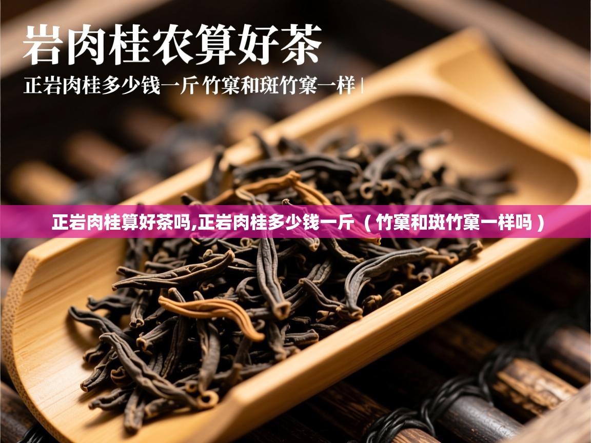  正岩肉桂算好茶吗,正岩肉桂多少钱一斤  ( 竹窠和斑竹窠一样吗 )