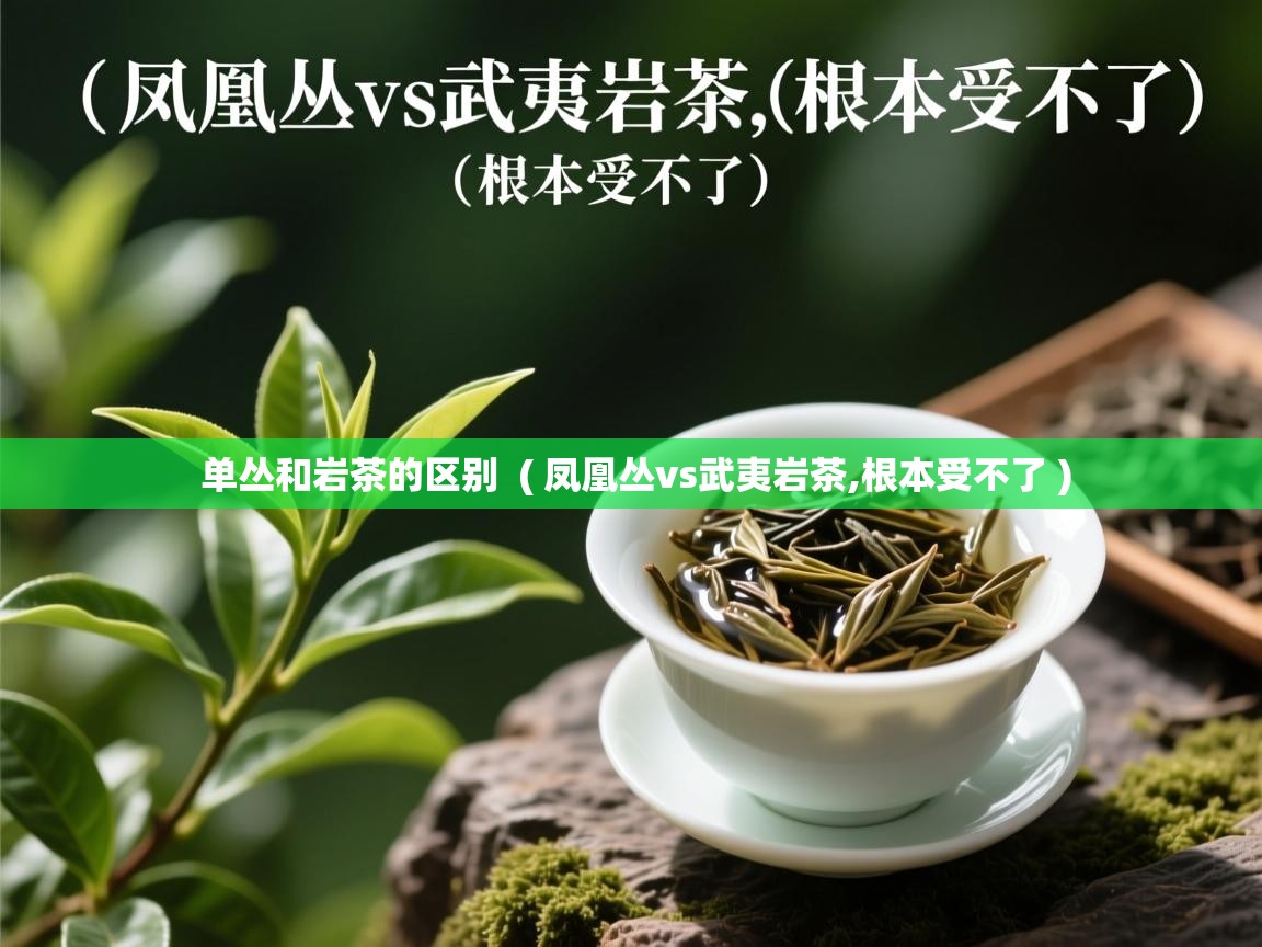  单丛和岩茶的区别  ( 凤凰丛vs武夷岩茶,根本受不了 )
