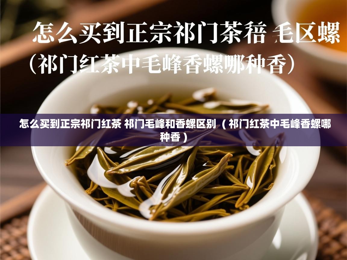  怎么买到正宗祁门红茶 祁门毛峰和香螺区别  ( 祁门红茶中毛峰香螺哪种香 )