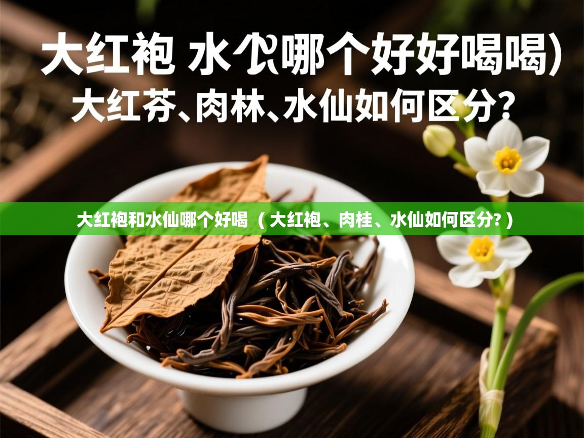  大红袍和水仙哪个好喝  ( 大红袍、肉桂、水仙如何区分? )