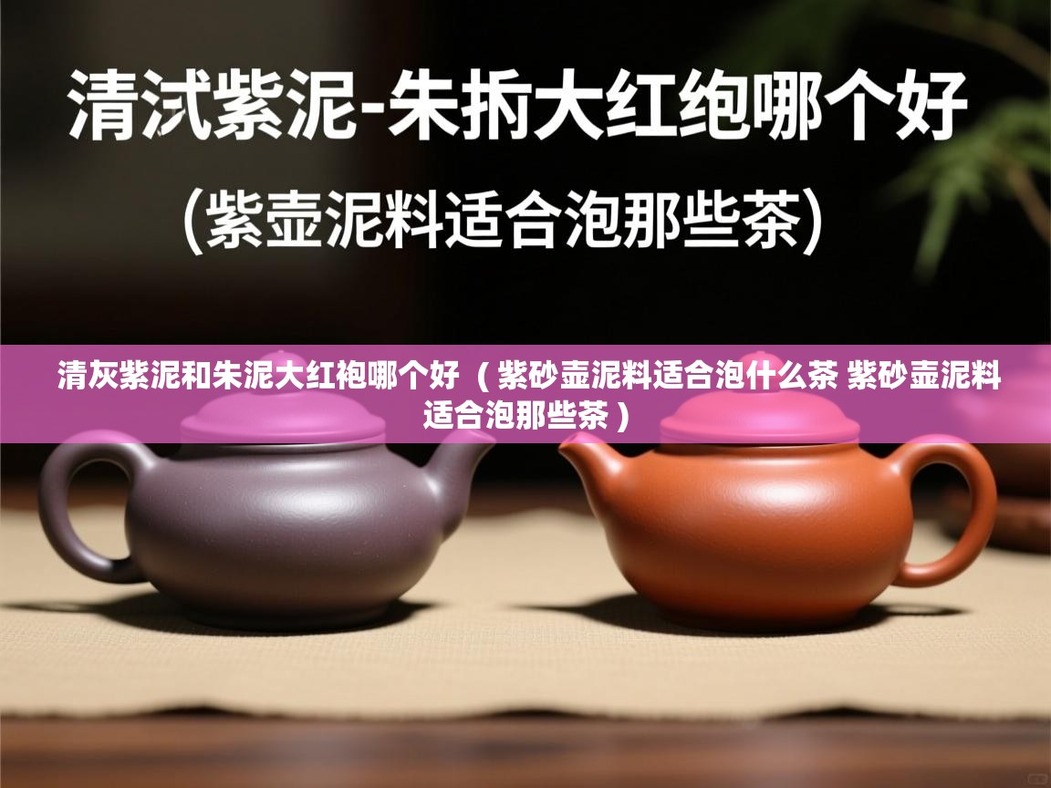  清灰紫泥和朱泥大红袍哪个好  ( 紫砂壶泥料适合泡什么茶 紫砂壶泥料适合泡那些茶 )