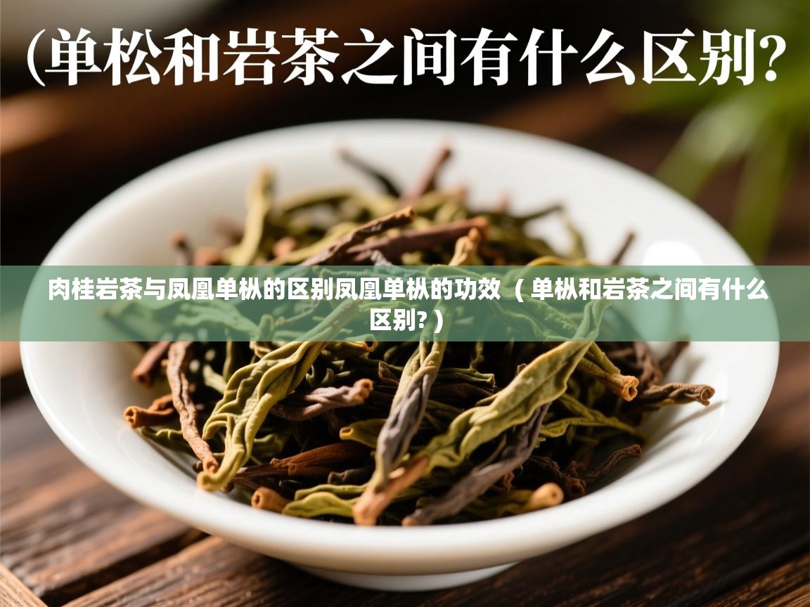  肉桂岩茶与凤凰单枞的区别凤凰单枞的功效  ( 单枞和岩茶之间有什么区别? )