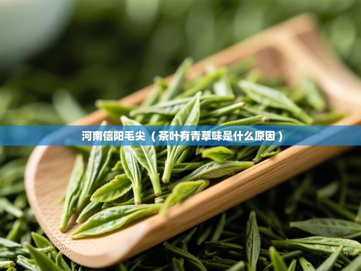  河南信阳毛尖  ( 茶叶有青草味是什么原因 )