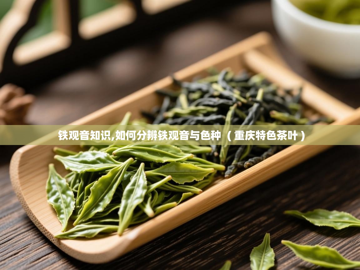 铁观音知识,如何分辨铁观音与色种  ( 重庆特色茶叶 )