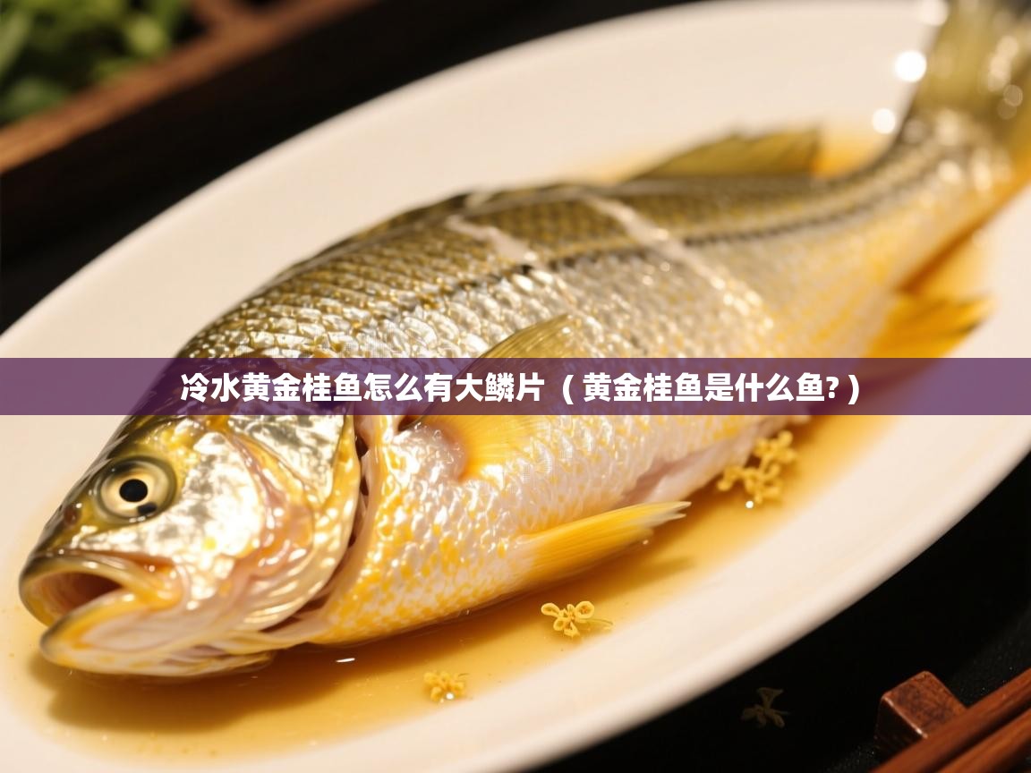  冷水黄金桂鱼怎么有大鳞片  ( 黄金桂鱼是什么鱼? )