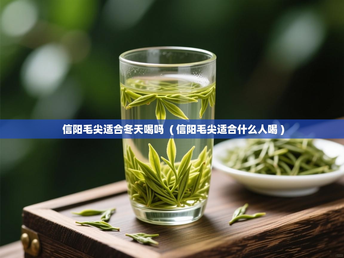 信阳毛尖适合冬天喝吗  ( 信阳毛尖适合什么人喝 )