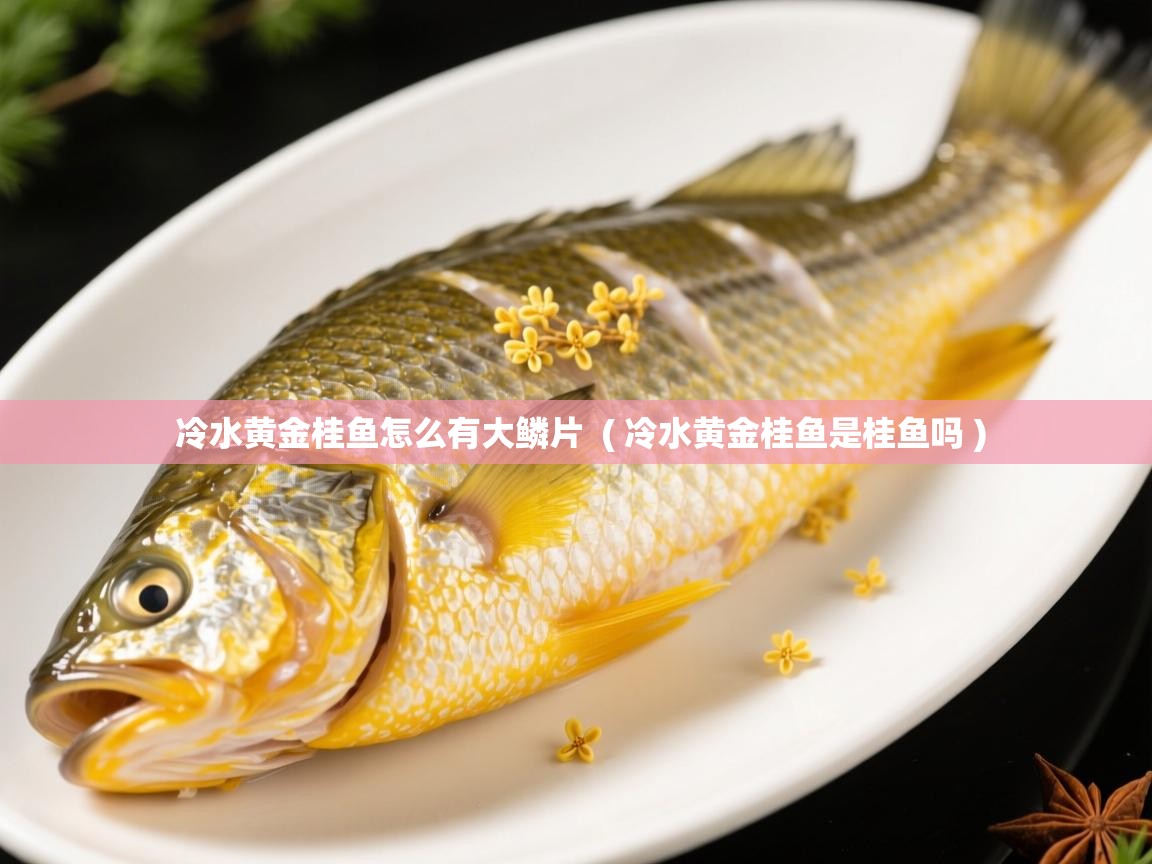  冷水黄金桂鱼怎么有大鳞片  ( 冷水黄金桂鱼是桂鱼吗 )